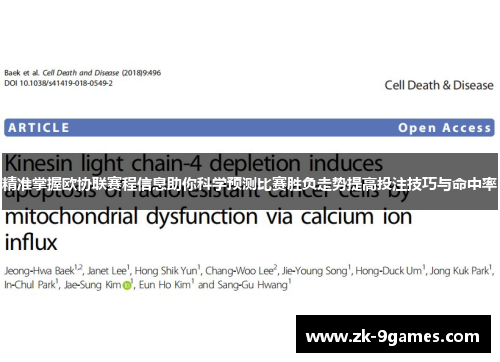精准掌握欧协联赛程信息助你科学预测比赛胜负走势提高投注技巧与命中率